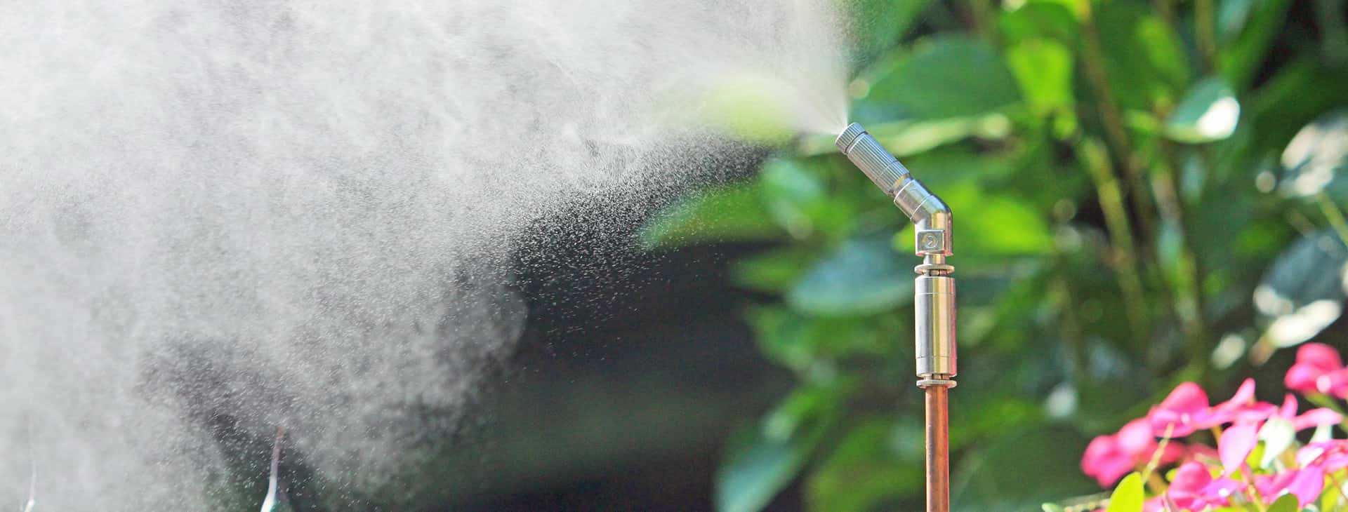 Injecção no Tronco A FORMA EFICAZ DE CONTROLAR A PROCESSIONÁRIA